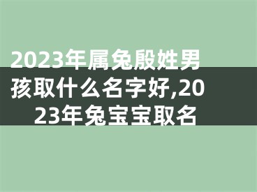 2023年属兔殷姓男孩取什么名字好,2023年兔宝宝取名