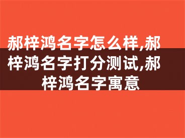 郝梓鸿名字怎么样,郝梓鸿名字打分测试,郝梓鸿名字寓意