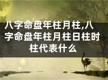 八字命盘年柱月柱,八字命盘年柱月柱日柱时柱代表什么