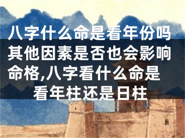 八字什么命是看年份吗其他因素是否也会影响命格,八字看什么命是看年柱还是日柱