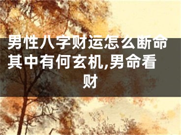 男性八字财运怎么断命其中有何玄机,男命看财