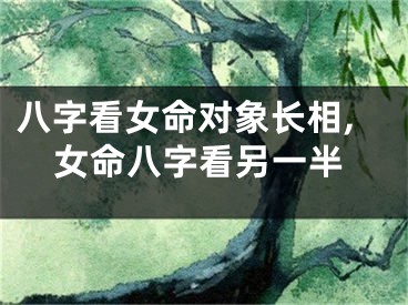 八字看女命对象长相,女命八字看另一半