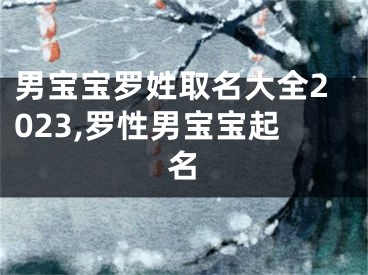 男宝宝罗姓取名大全2023,罗性男宝宝起名