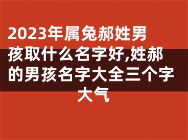 2023年属兔郝姓男孩取什么名字好,姓郝的男孩名字大全三个字大气