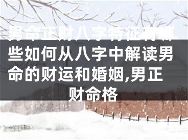 男命正财八字特征有哪些如何从八字中解读男命的财运和婚姻,男正财命格