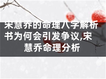宋慧乔的命理八字解析书为何会引发争议,宋慧乔命理分析