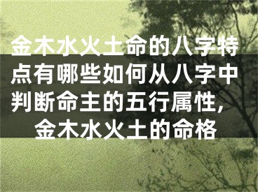 金木水火土命的八字特点有哪些如何从八字中判断命主的五行属性,金木水火土的命格