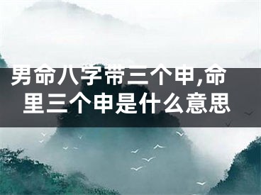 男命八字带三个申,命里三个申是什么意思