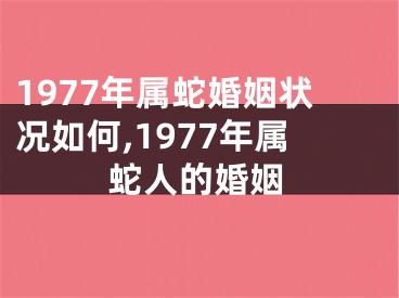 1977年属蛇婚姻状况如何,1977年属蛇人的婚姻