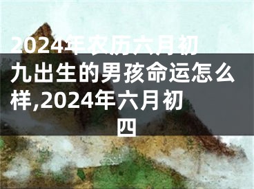 2024年农历六月初九出生的男孩命运怎么样,2024年六月初四