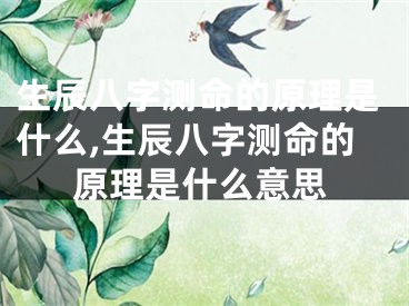 生辰八字测命的原理是什么,生辰八字测命的原理是什么意思