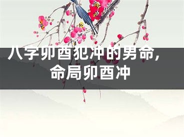 八字卯酉犯冲的男命,命局卯酉冲