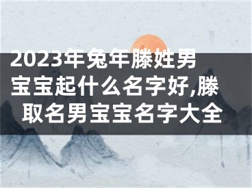 2023年兔年滕姓男宝宝起什么名字好,滕取名男宝宝名字大全