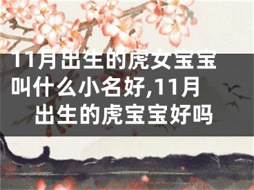 11月出生的虎女宝宝叫什么小名好,11月出生的虎宝宝好吗