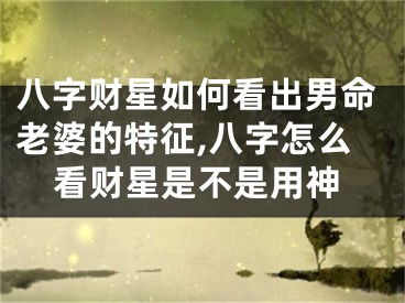 八字财星如何看出男命老婆的特征,八字怎么看财星是不是用神