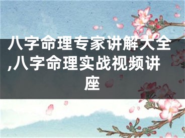八字命理专家讲解大全,八字命理实战视频讲座
