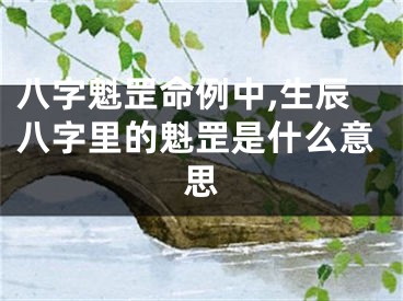八字魁罡命例中,生辰八字里的魁罡是什么意思