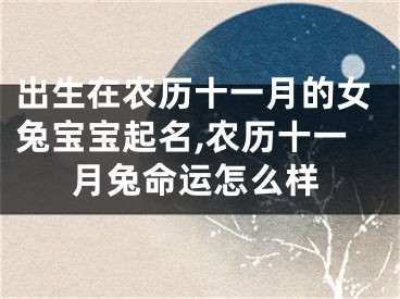 出生在农历十一月的女兔宝宝起名,农历十一月兔命运怎么样