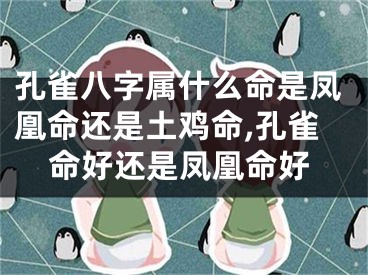 孔雀八字属什么命是凤凰命还是土鸡命,孔雀命好还是凤凰命好