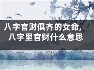 八字官财俱齐的女命,八字里官财什么意思