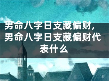 男命八字日支藏偏财,男命八字日支藏偏财代表什么