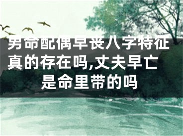 男命配偶早丧八字特征真的存在吗,丈夫早亡是命里带的吗