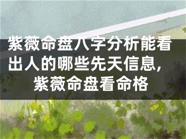 紫薇命盘八字分析能看出人的哪些先天信息,紫薇命盘看命格