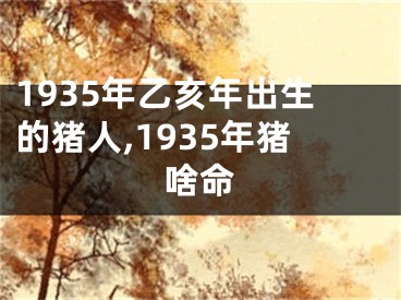 1935年乙亥年出生的猪人,1935年猪啥命