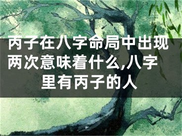 丙子在八字命局中出现两次意味着什么,八字里有丙子的人
