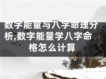 数字能量与八字命理分析,数字能量学八字命格怎么计算