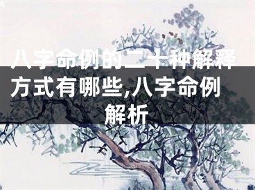八字命例的二十种解释方式有哪些,八字命例解析