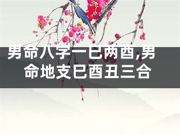 男命八字一巳两酉,男命地支巳酉丑三合