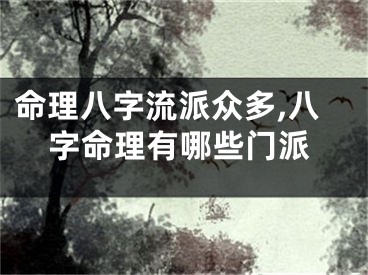 命理八字流派众多,八字命理有哪些门派