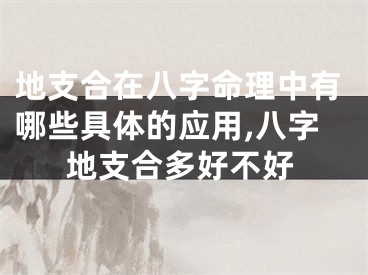 地支合在八字命理中有哪些具体的应用,八字地支合多好不好