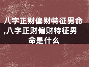 八字正财偏财特征男命,八字正财偏财特征男命是什么