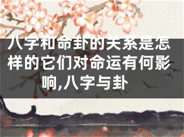 八字和命卦的关系是怎样的它们对命运有何影响,八字与卦