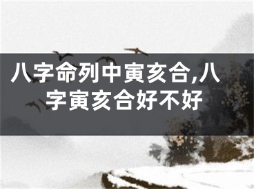 八字命列中寅亥合,八字寅亥合好不好