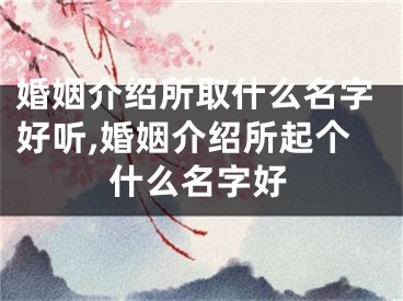 婚姻介绍所取什么名字好听,婚姻介绍所起个什么名字好