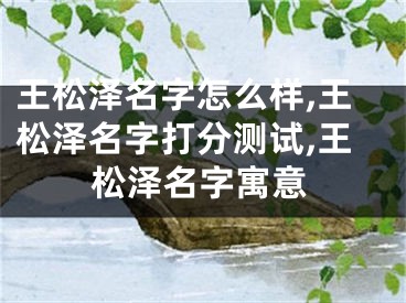 王松泽名字怎么样,王松泽名字打分测试,王松泽名字寓意