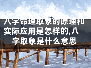 八字命理取象的原理和实际应用是怎样的,八字取象是什么意思