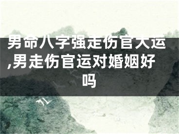 男命八字强走伤官大运,男走伤官运对婚姻好吗