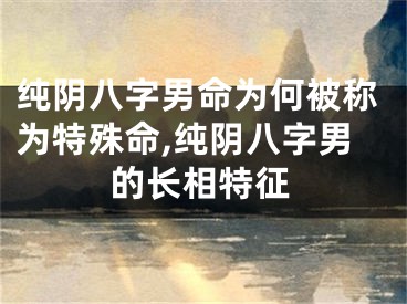 纯阴八字男命为何被称为特殊命,纯阴八字男的长相特征