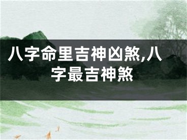 八字命里吉神凶煞,八字最吉神煞