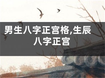 男生八字正宫格,生辰八字正宫