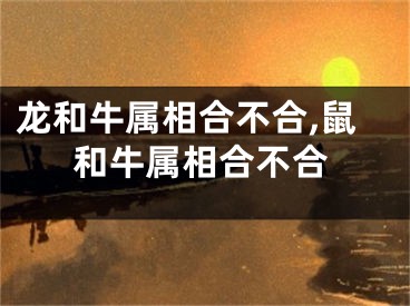 龙和牛属相合不合,鼠和牛属相合不合