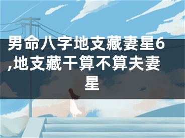 男命八字地支藏妻星6,地支藏干算不算夫妻星