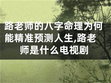 路老师的八字命理为何能精准预测人生,路老师是什么电视剧