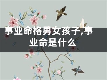 事业命格男女孩子,事业命是什么