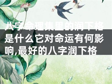 八字命理集里的润下格是什么它对命运有何影响,最好的八字润下格