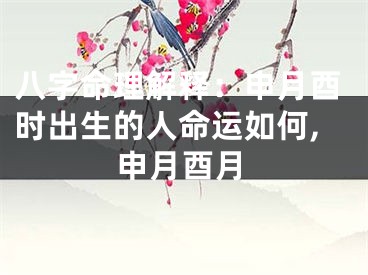 八字命理解释：申月酉时出生的人命运如何,申月酉月